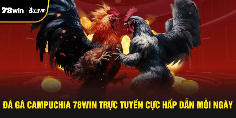 Đá Gà Campuchia 78Win Trực Tuyến Cực Hấp Dẫn Mỗi Ngày