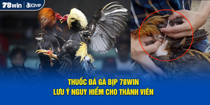 Thuốc Đá Gà Bịp 78Win - Lưu Ý Nguy Hiểm Cho Thành Viên